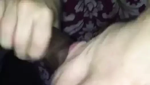 mavi gözlü kar tavşanı kafası