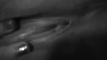 Mastürbasyon klitoris orgazm kasılmalar