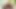 Nicole aniston arka bahçesinde creampied alır