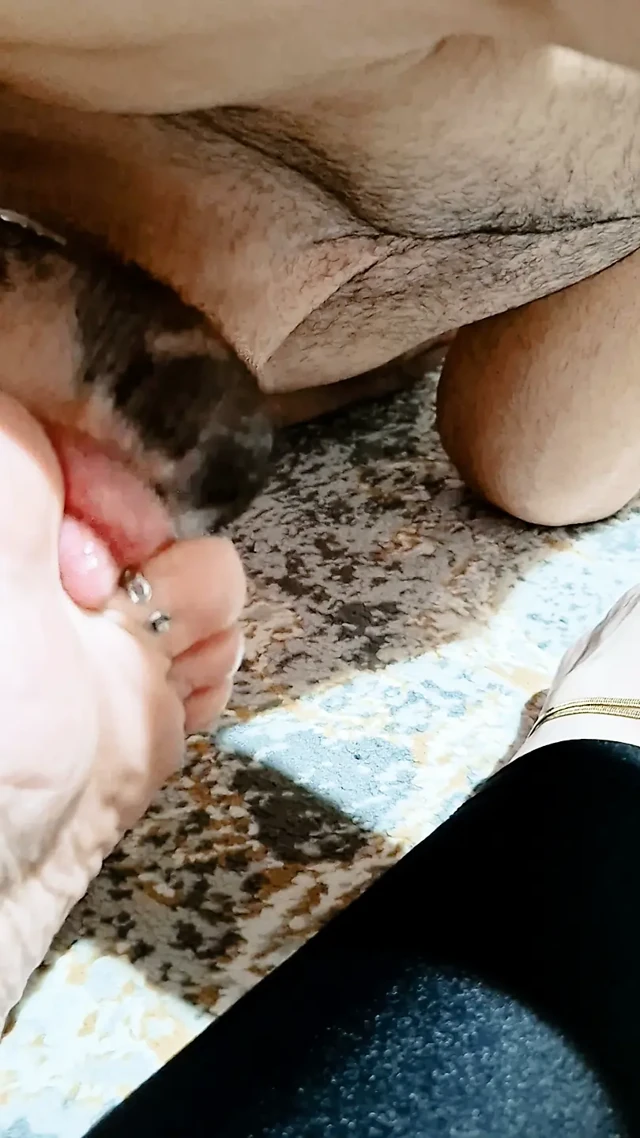 Mistress Destroys His Cock: + Nail Sounding + Teasing Handjob