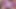 Sümüksü ve Sui, 22 cm uzunluğunda kocaman pembe penisle