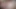 Sevimli iri güzel kadın fotoğraf çekiminin ardından siyah ve beyaz erkekler tarafından amını siktiriyor