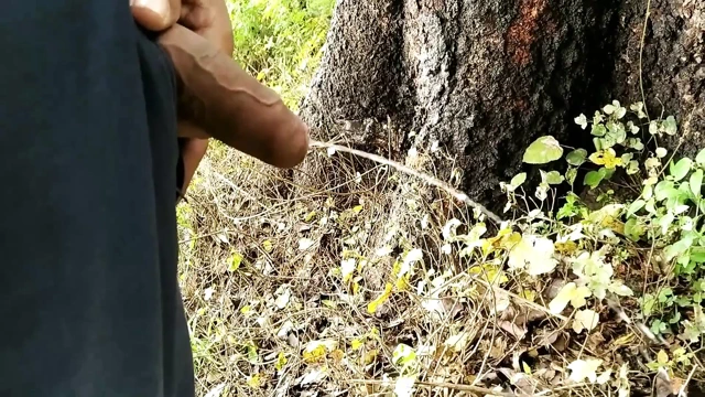 Indian Boy Playing with Cock, Pissing