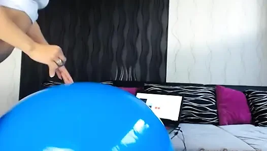 Büyük mavi taşaklar canlı