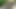 Bu Güzel Motosikletçi Size Vücudunun Ve Motosikletinin Kıvrımlarını Gösteriyor