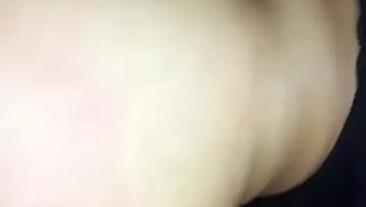 Bbc vs küçücük Asya kedi