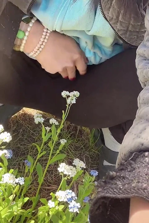 Bakım çiçek ağacı için sidik amcık