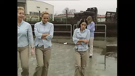 Lerens langlich - cilt. #05