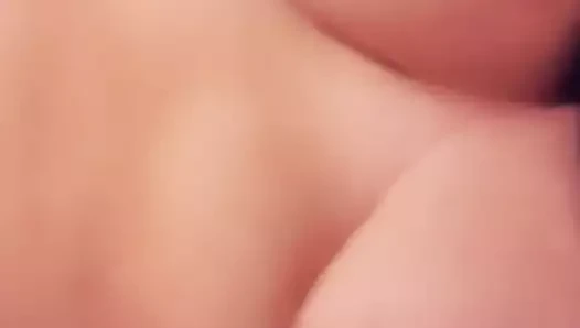 Kedi itibaren cernica romania