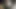 Tsukushi - animasyonlu video 3D