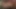 İki sarışın orta yaşlı seksi kadın sikilmeden önce birlikte bazı yarakları emiyor