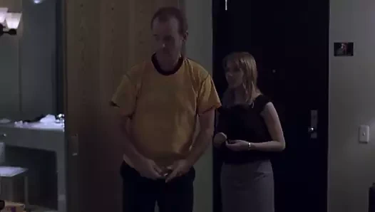 Çeviride Kayıp 2003 wf