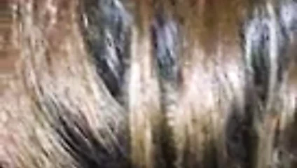 Lois gelen tinder geri için bu çük ve bir Creampie