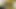 VIP4k. bebeğim bir striptiz rolü oynarken biraz para kazanıyor