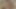 Kedi pov içinde cindy umut ve ashley ile oynuyor