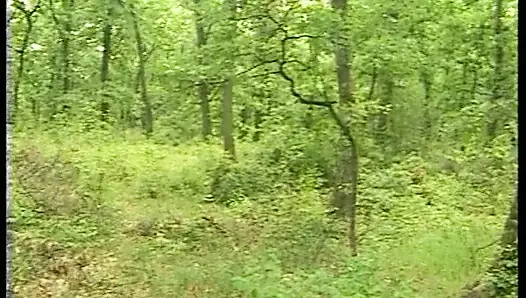 Hardcore fick beim Camping Outdoor Sie schreit so laut