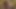 Nemli milfs julia ann ve jessica jaymes amcıklarını yalıyor!