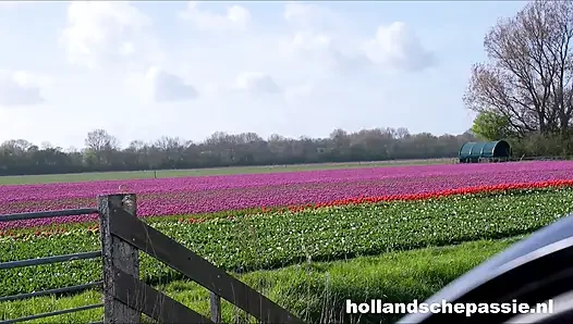 Hollandalı baharatlı Mina çok azgın!
