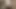 Minha esposa com seu amante socando um vibrador nela