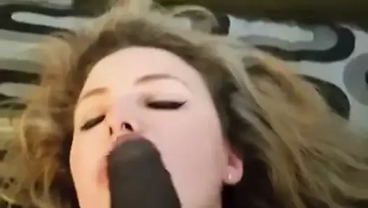 Beyaz Avustralya emme bbc siyah horoz ırklararası amatör