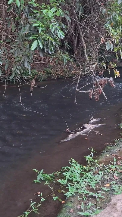 Незабываемый момент от "Незнакомцев застукали за сексом у водопада."