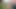 videom