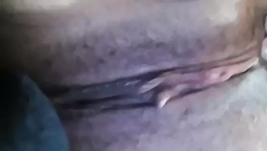 Olgun kedi ihtiyaçlar bir sikme