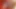Sapık orta yaşlı seksi kadın bir öğrenciyi sikiyor