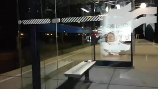 Mastürbasyon n boşalmak içinde kamu