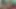 Pornstarplatinum - saf genç lezbiyenler ateşli bir üçlü seks yapıyor