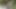 Frisches Fleisch 17 - Episode 2