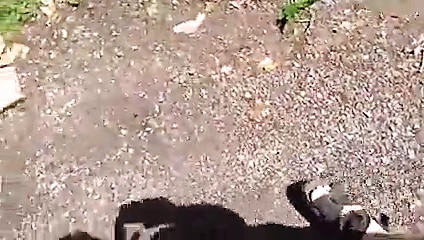 Koca eve karısı dövülerek geliyor!