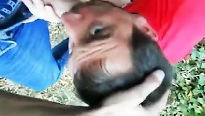 Hayalim: üç bilinmeyen horozla ormanda gezinmek