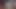 Genç latin yarağımı emiyor ve amını yemeye dayanamıyorum