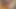 Porno ineği: tabitha: yarak binicisi 2