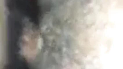 Siyah bbw ile dev memeler ve kıllı kedi