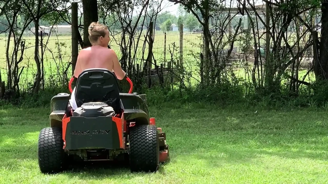 Memeler dışarıda açık havada çim biçme makinesine biniyor