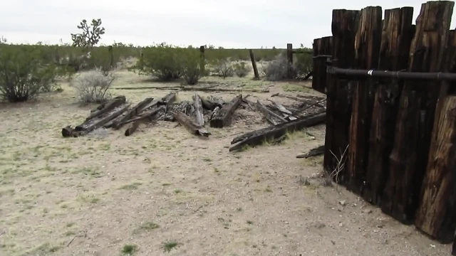 Desert Cow Pen Boşalma 3