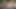 Seksi genç kız yüzüne boşalmadan önce ağzına ve amına yarak alıyor