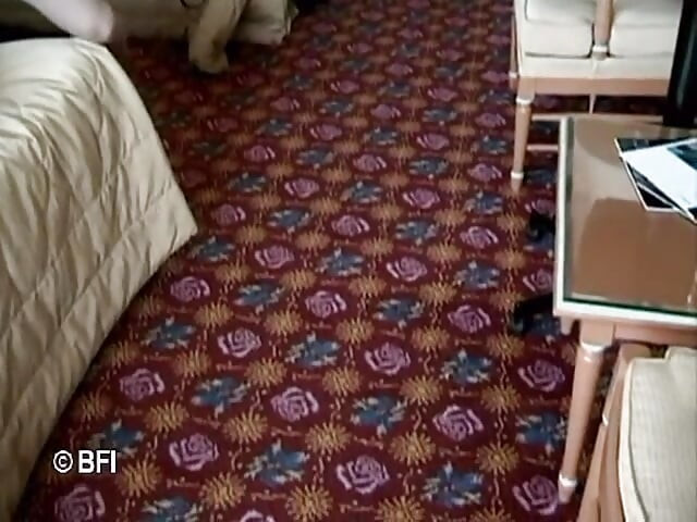 Cherrypoppers EP6  DVD