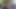 4K'da tam uzunlukta ultra hd versiyon et renkli çoraplı orijinal solo selfie'nin süper net kopyası