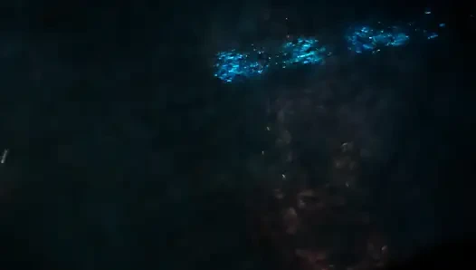 Bir medfet bakış açısı hikayesi.