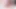 Lesbianx - sevimli minyon ikili Jill Kassidy ve Molly Little amcık yalama ve klitorisleme ile çıldırıyor
