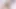 Özel öğretmen öğrenciyi özel olarak viral videoda öğretirken sikiyor.