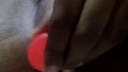 yapay penis kedi ev