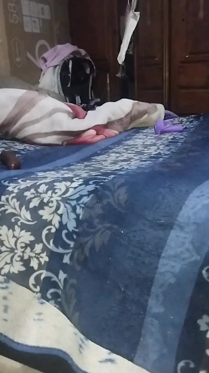 Anal y doble penetración con dildo