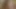 Alexis texas losyonları ona kedi tüm