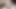 Yaramaz america vr canavar siyah horoz için sıkı kedi