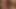 Porno yıldızı Jessie Palmer amcığını sert yalıyor