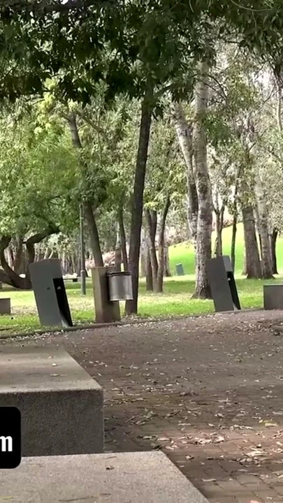 Sayuncle'in yeni özel dizisi: parkta anonimo eğlencesi. Felix Harris ve Julian Mendes | Klip 1